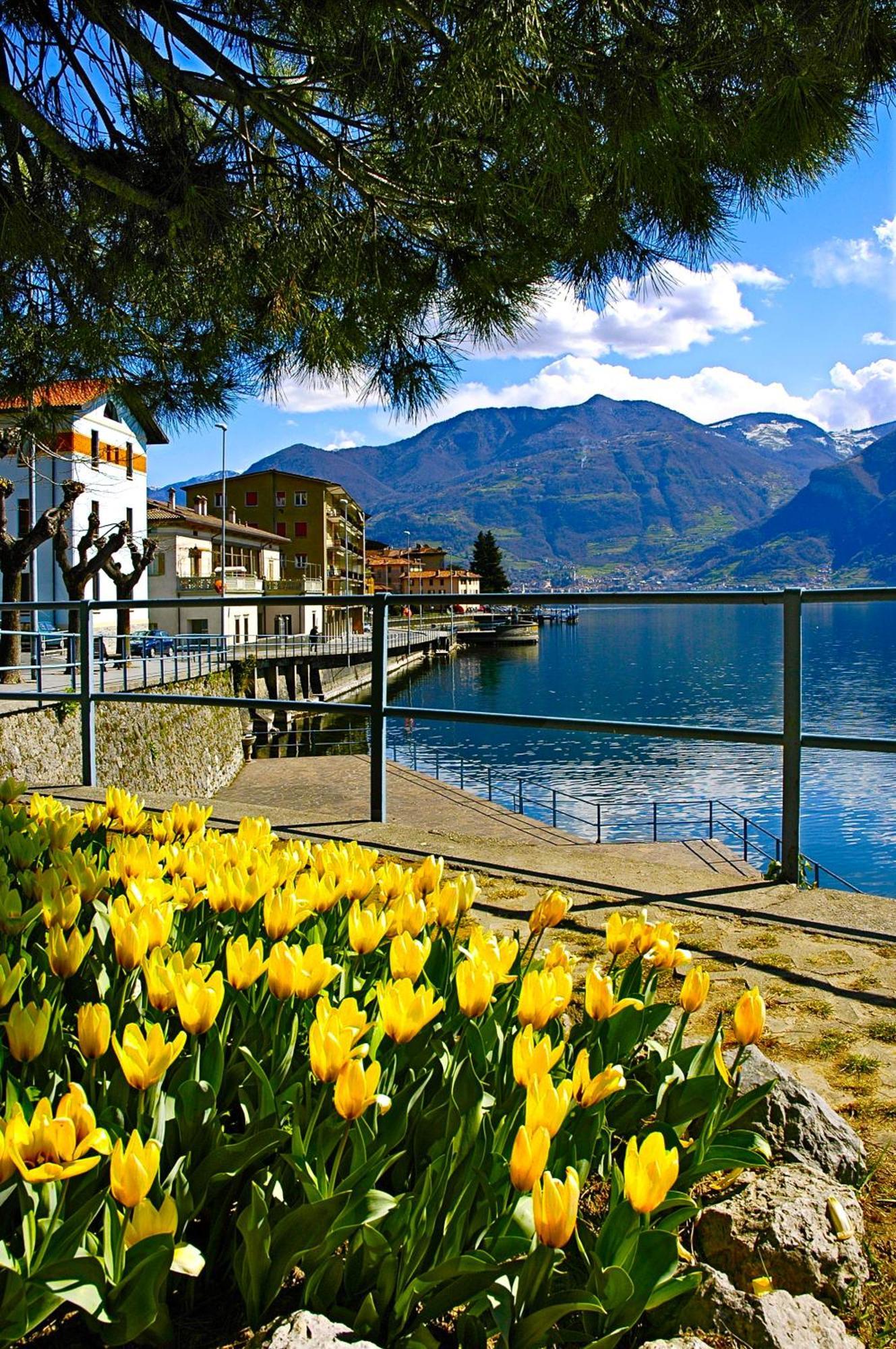 Diffuso Vulcano Village Bed & Breakfast *